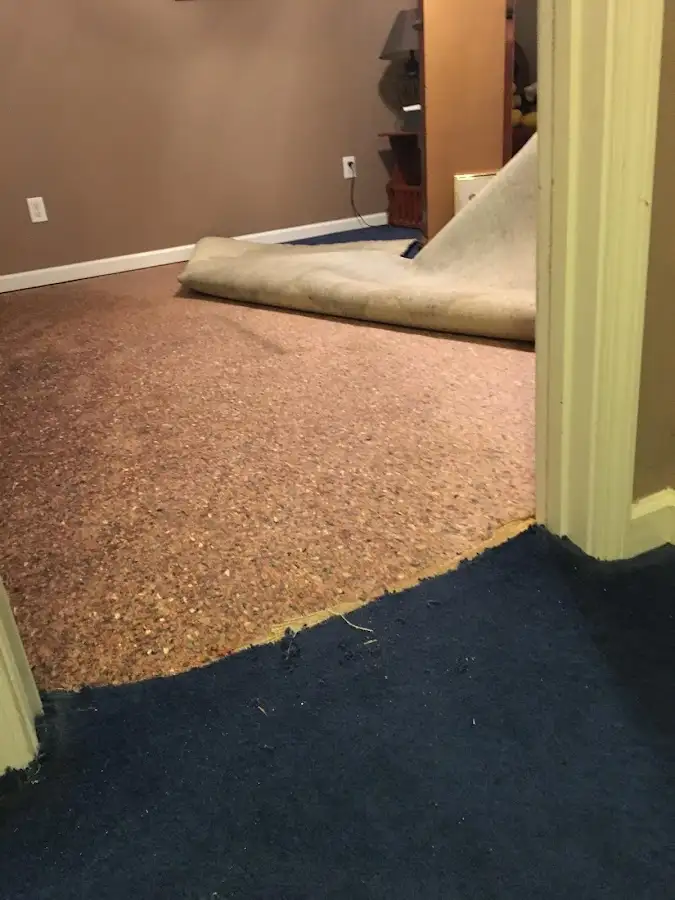 Carpet pad removal revealing water damage during Drying & Dehumidification in Ridgefield Park village